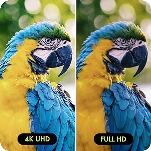 portable monitor 4k