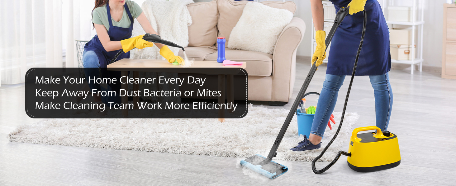 steam cleaner for home
