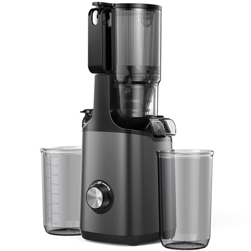 JoyBear Slow Masticating Machines with 4.3" Extra Large Feed Chute Fit Whole Fruits Vegetables Easy Clean Self Feeding Effortless for Batch Juicing