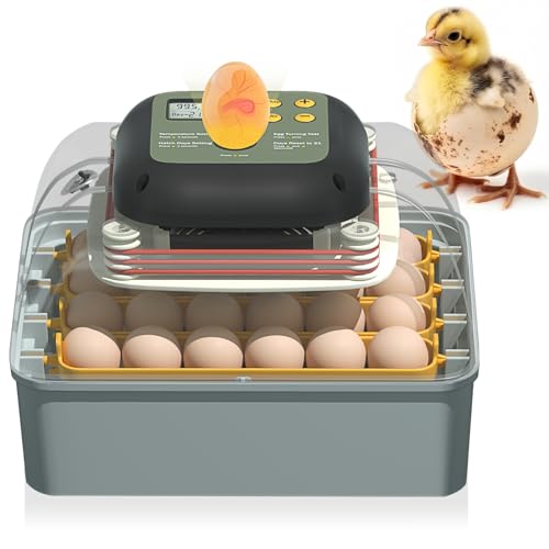 24 Egg Incubator with Automatic Egg Turning and Humidity Control