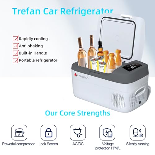 Electric Coolers for Vehicles & Truck with 12/24V DC & 110-240V AC