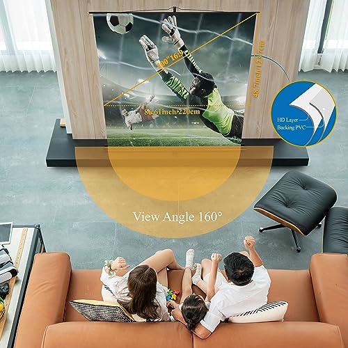 Portable Projector Screen 100 Inch