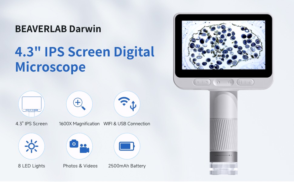 Digital zoom microscope