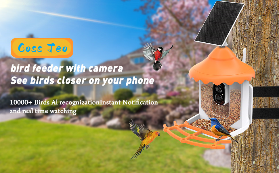Smart Bird Feeder Camera with AI Identify Bird Species
