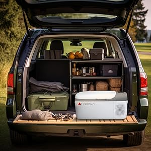camping fridge