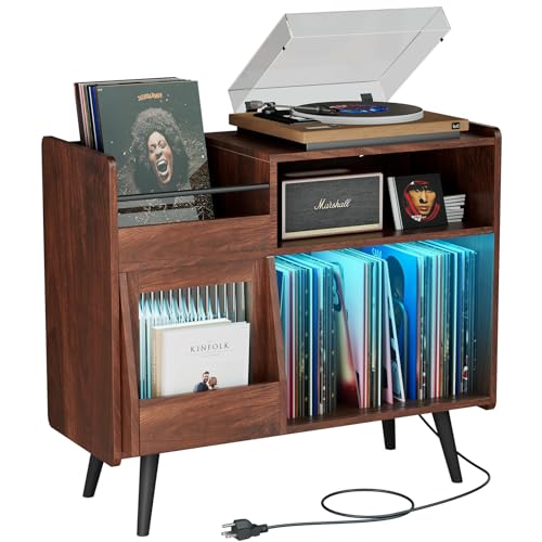 350 Vinyl Record Storage Holder