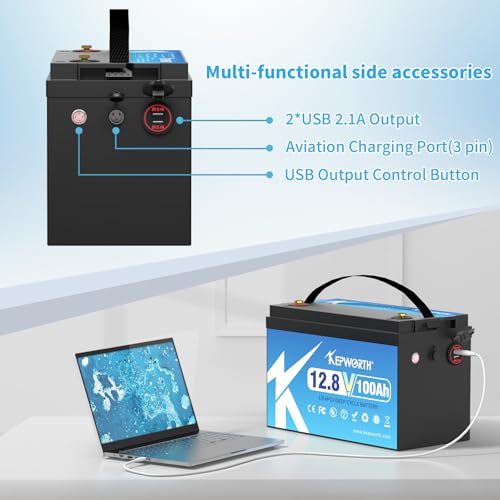 Rechargeable Lithium Batteries with 100A BMS