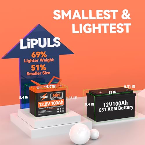 Deep Cycle Battery with Upgraded 100A BMS