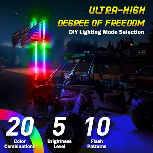 Chasing Lighted Whip Lights