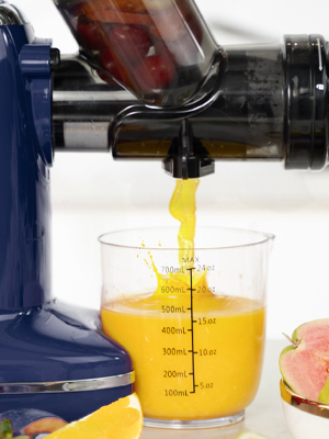 cold pressed juicer