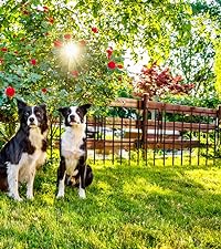 under fence dog barrier