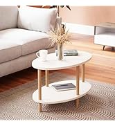 Oval Coffee Table for Living Room Centerpiece, Modern 2 Tier Cocktail Table with Open Shelf for S...