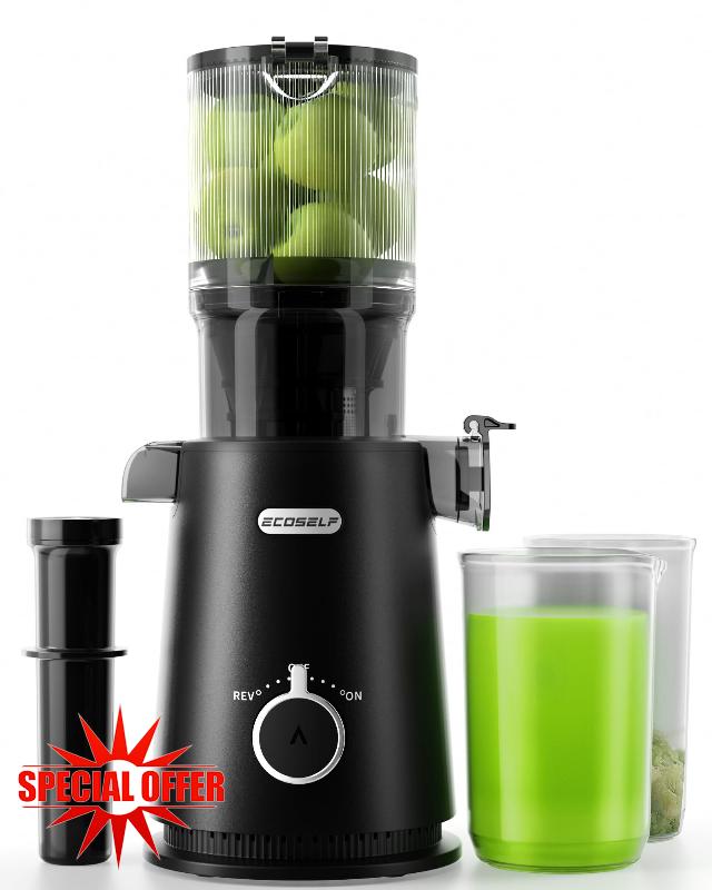 Masticating Juicer