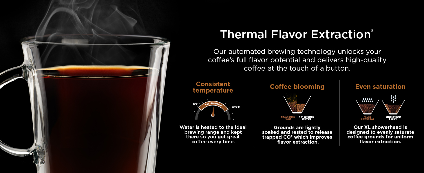 Thermal Flavor ExtractioN