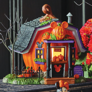 Department 56 Disney Village Lighted Features