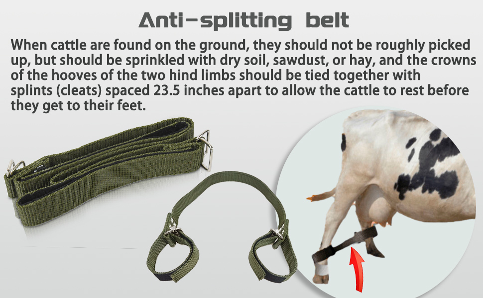 Hip lifter for cows, cow standing aid for obstetric delivery of cows in dairy farms