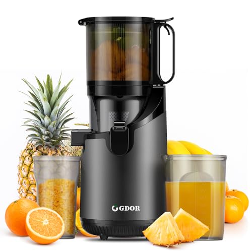 Slow Juicer Machines with Large Feed Chute 5.3"