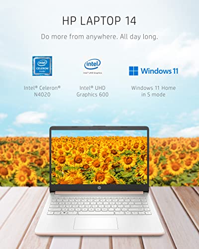 Intel Celeron N4020