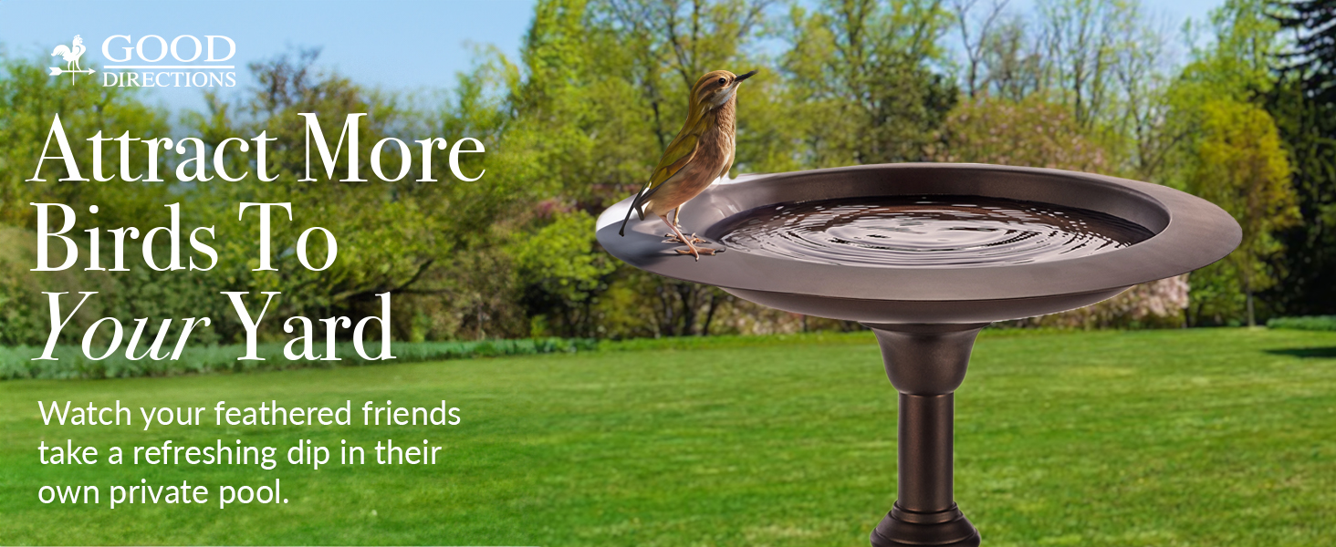 attract more birds to your yard