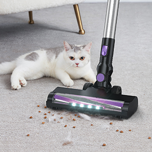 best vacuum for hardwood floors