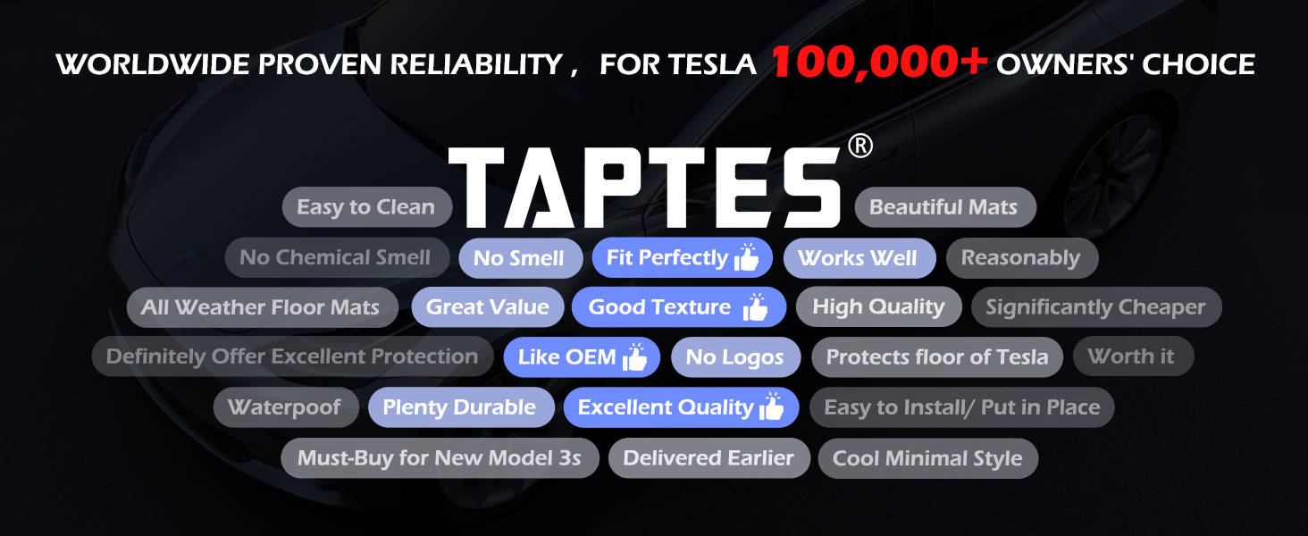 taptes model 3