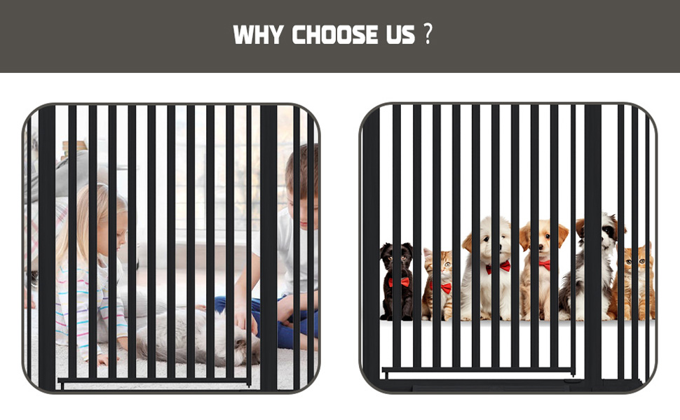 why choose us