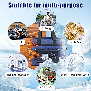 Car Cooler Bag