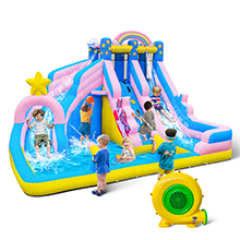 Medium dolphin water slide