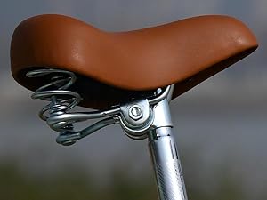 enclosed chainguard