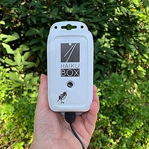 Haikubox with Annual Subscription