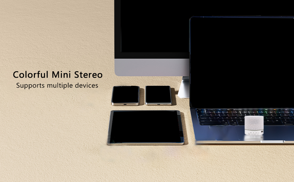 Mini Speaker