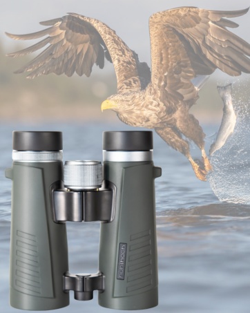 binoculars