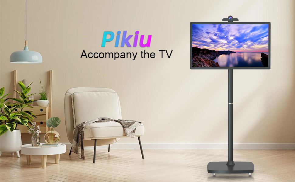 portable tv