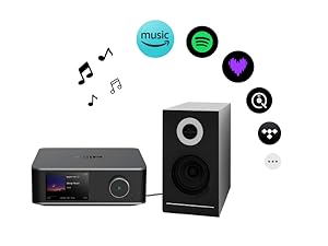 Configure your device and music account, and play Hi-Res music.