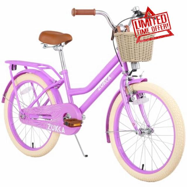 20 Inch Grils Bike with Basket