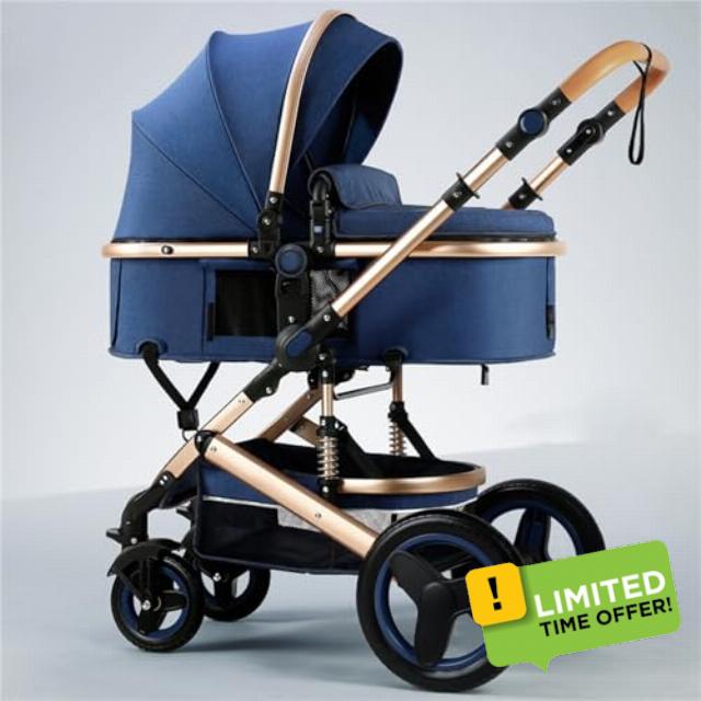 2 in 1 Baby Stroller