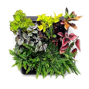 boxsand 12 vertical planter