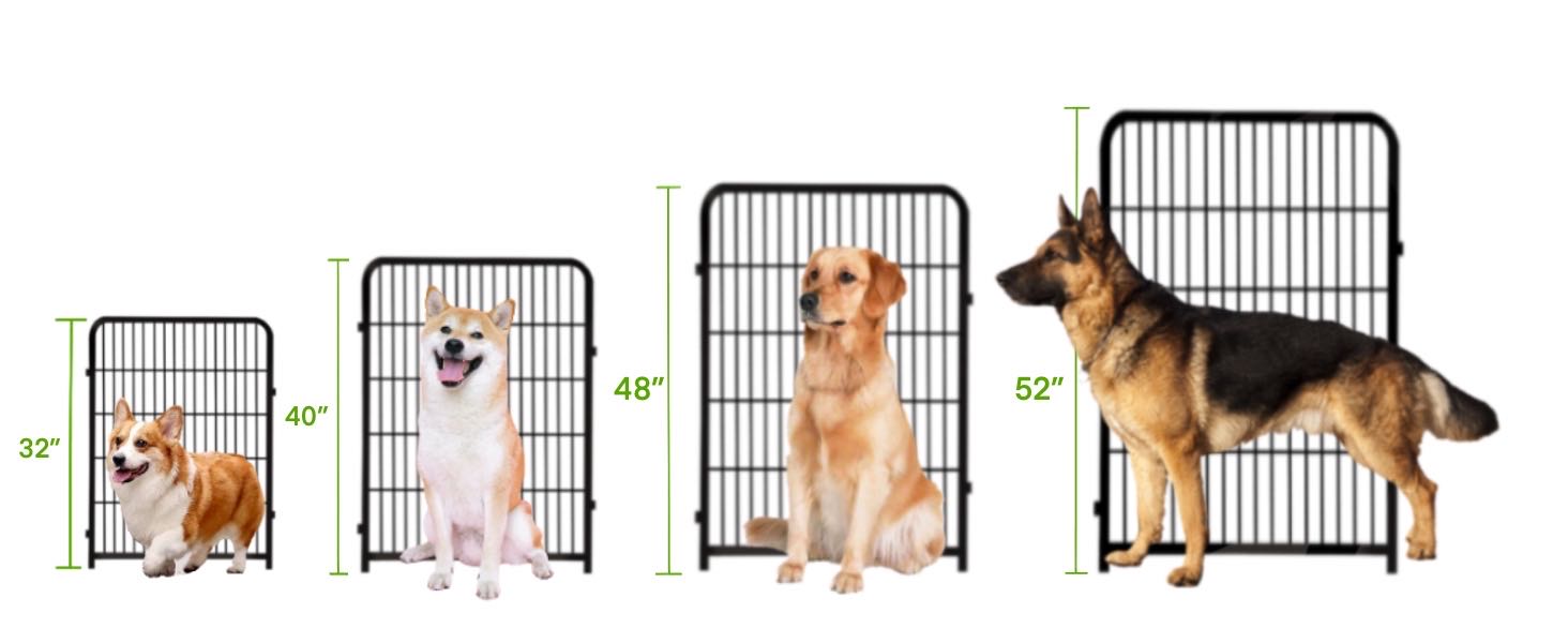 dog digging fence barrier