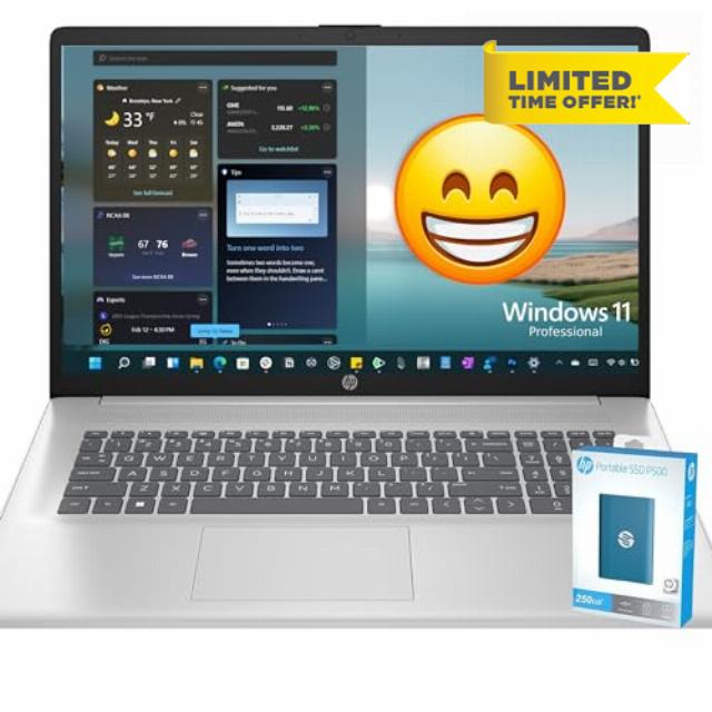 HP Elite 17.3" FHD Laptop for Small Business and College Students