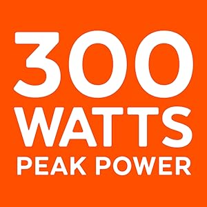 The SoundExtreme SE18 has 300 Watts Peak Power.