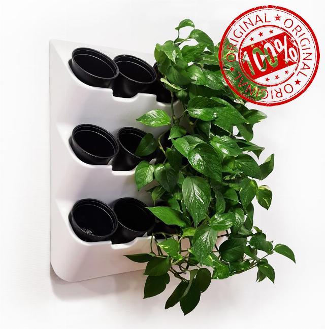 BOXSAND-12 (24"x26") Wall Planter - Vertical Garden for 12 Plants