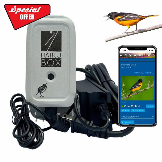 Bird Identifier: Automatic & continuous bird song & call identification using sound. Boost your birdwatching and birding-by-ear!
