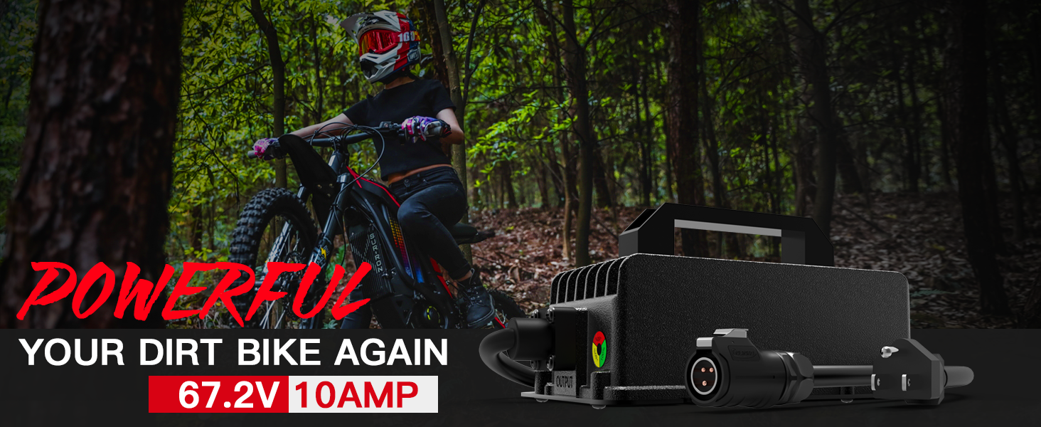 electric bike charger