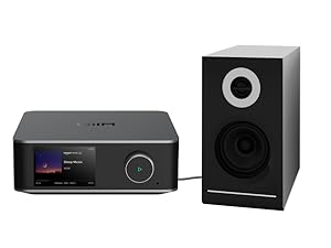 Connect your speaker to WiiM Ultra.