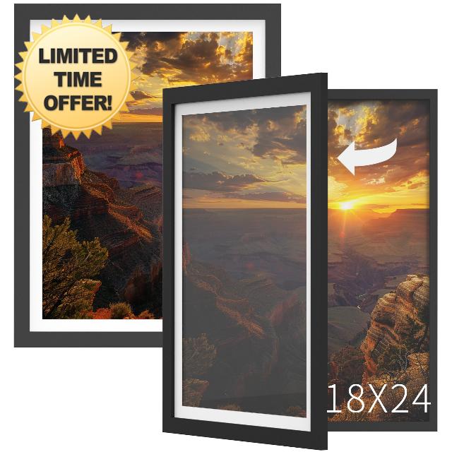 Orionstar 2 Pack 18x24 Display Poster Frame in Black
