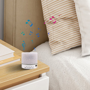 Mini Speaker