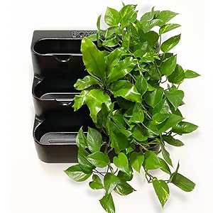 boxsand 12 vertical planter