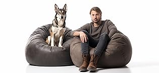 bean bag