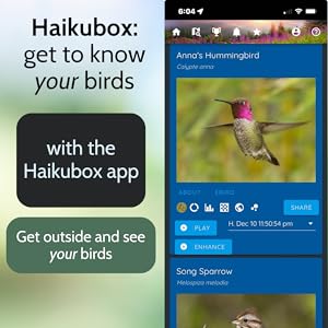 Haikubox: Birdsong recorder & identifier