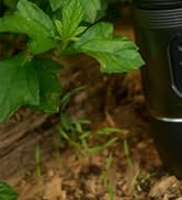 STARESSO TRAVEL Coffee Maker